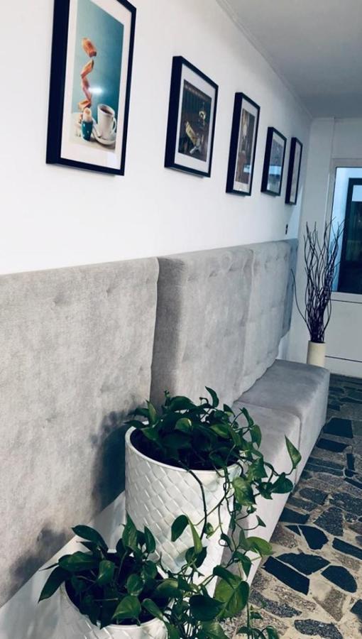 Siechnice Noclegi 외부 사진